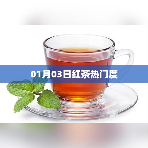 红茶热门度揭秘，最新趋势分析（日期，01月03日）