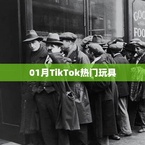 TikTok热门玩具大盘点（一月精选）