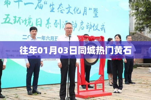 全始全终 第3页