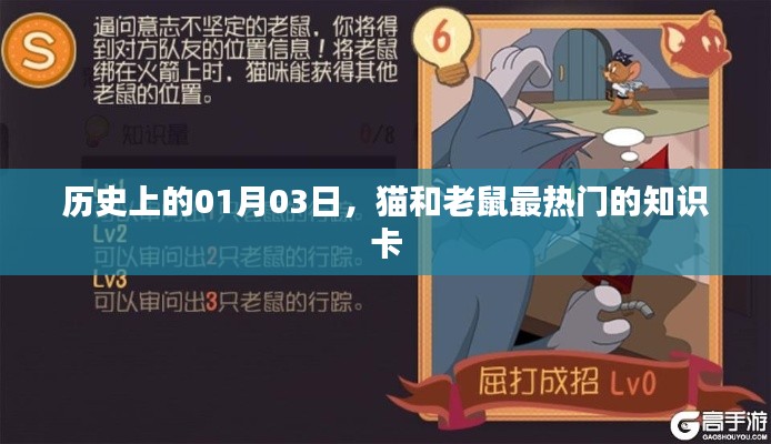 猫鼠知识卡，历史上的热门时刻，探寻秘密背后的故事