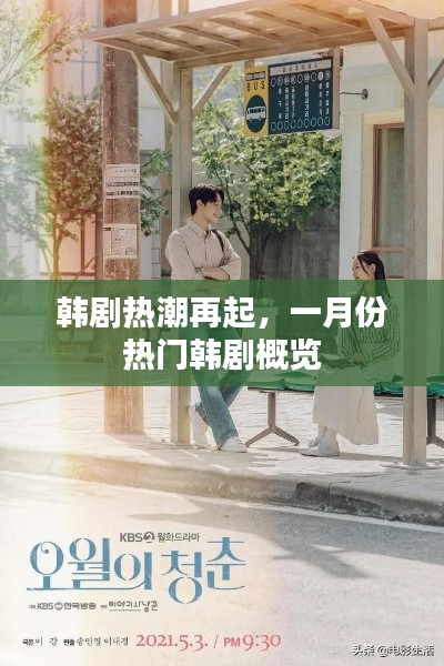 一月份韩剧热潮回顾，热门剧集概览