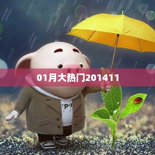 大热门事件回顾，揭秘2014年1月热点话题