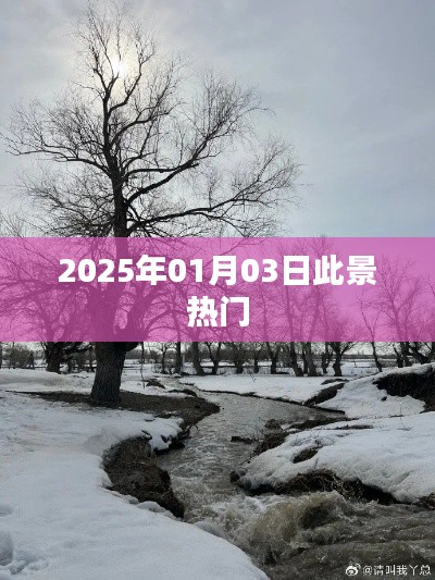 2025年元旦后三日景象预测，热门事件展望