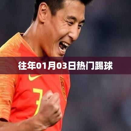 雍容华贵 第3页