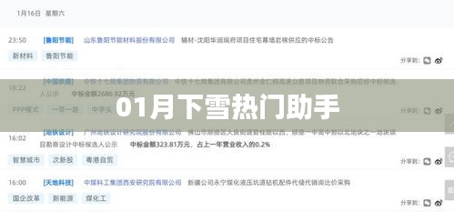 冬季热门助手，一月雪落助手