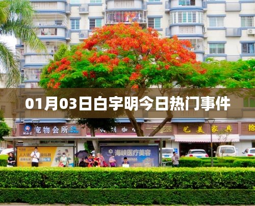 白宇明最新热门事件曝光，关注细节解析