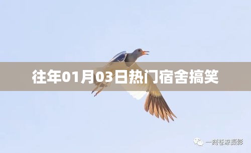 产品展示 第239页