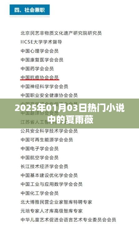 夏雨薇，2025年超人气小说主角，魅力非凡
