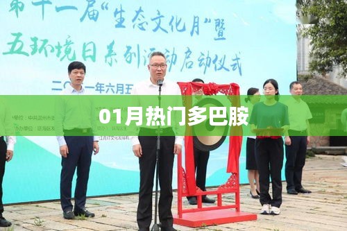 鸟吏鼈官 第3页