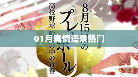 精选真情语录，一月温暖话语