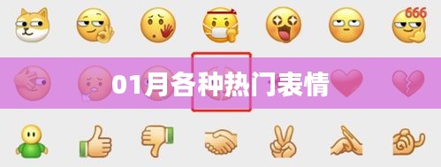01月流行表情汇总