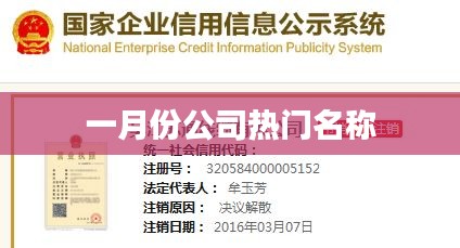 一月份公司热门名称盘点
