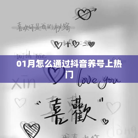 抖音养号攻略，如何一月内上热门？