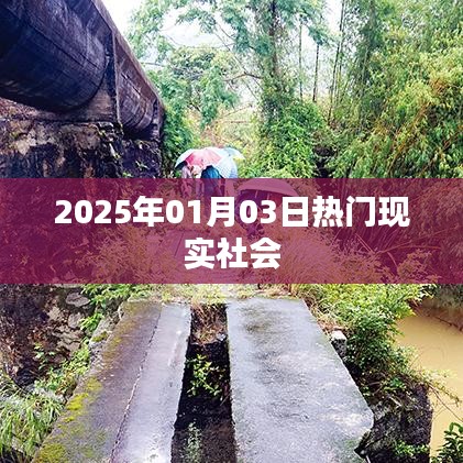 2025年热门社会现象观察，现实社会的变迁与趋势分析。