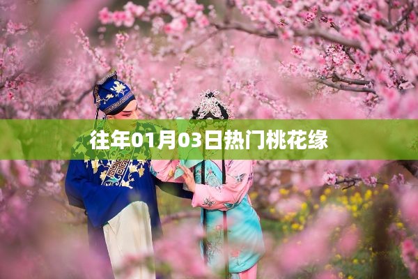往年一月初桃花盛开，缘分盛开日