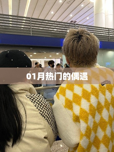 偶遇新风尚，一月热门事件回顾