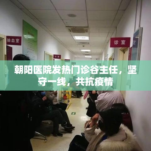 朝阳医院发热门诊谷主任坚守一线抗疫
