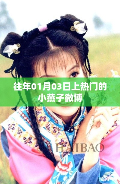 小燕子微博一月三日话题热议揭秘