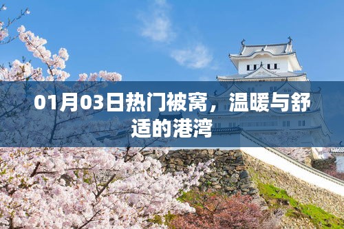 热门被窝，冬日温暖的港湾