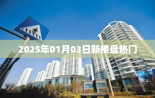 2025年热门新楼盘概览