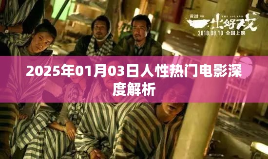 人性探索，深度解析一部热门电影
