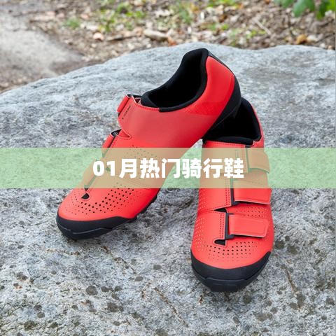 热门骑行鞋大盘点，一月选购指南