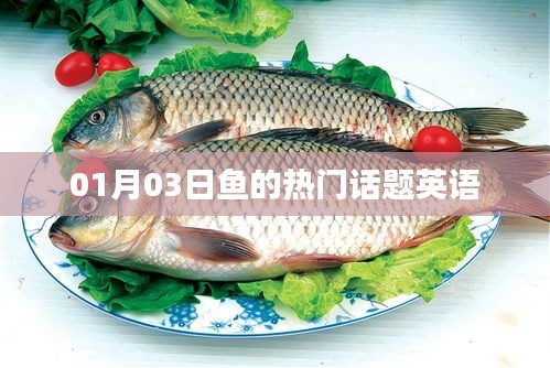 热门话题英语，聚焦鱼类世界，最新动态一网打尽！