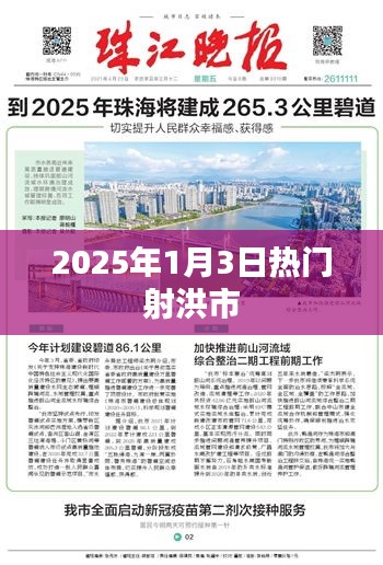 射洪市热门活动预告，2025年1月3日盛事盘点