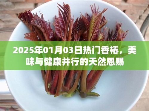 香椿盛宴，美味与健康并行的天然恩赐（2025年）