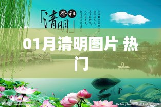 01月清明图片，精选热门美图欣赏