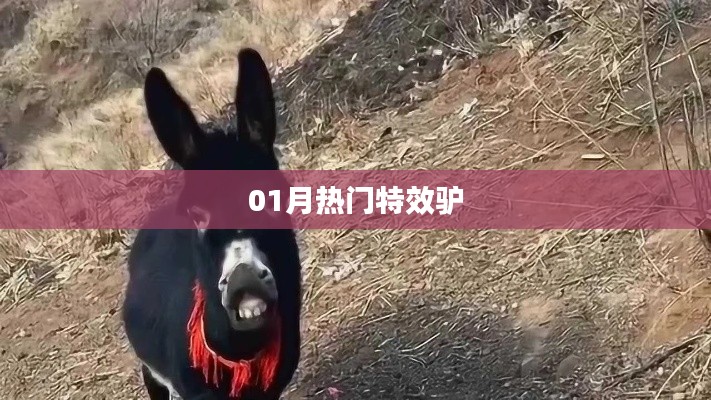 特效驴，揭秘一月热门潮流元素！