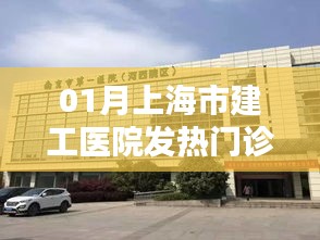 上海市建工医院发热门诊一月概况