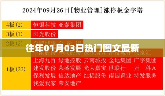 贵人善忘 第3页