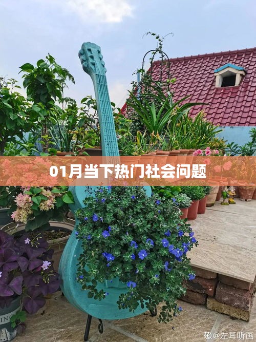 当下热门社会问题解析