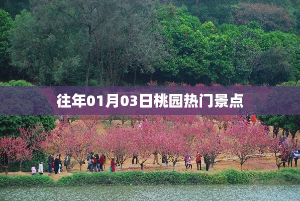 桃园景点历年元旦人气攻略