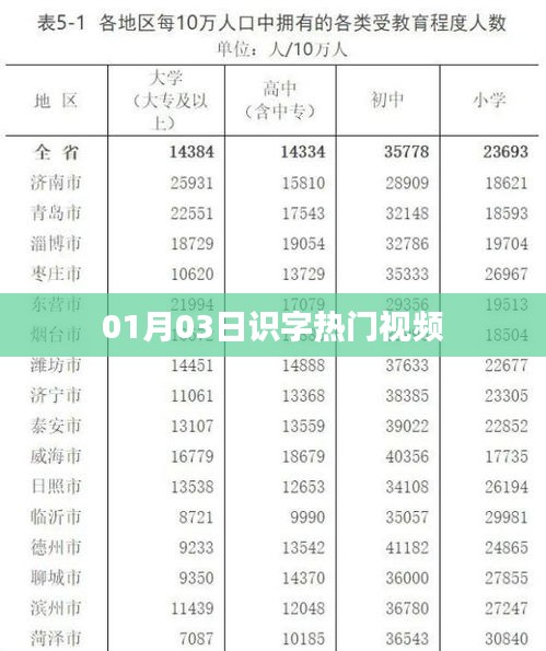 热门识字视频盘点（精选合集）