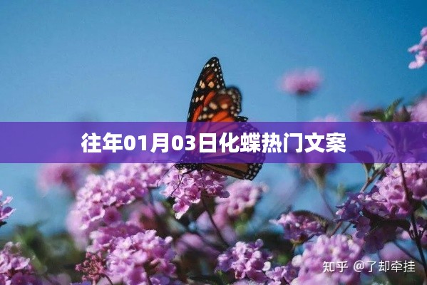 化蝶热门文案大揭秘，历年一月初的惊喜瞬间