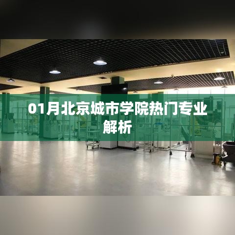 北京城市学院热门专业深度解析