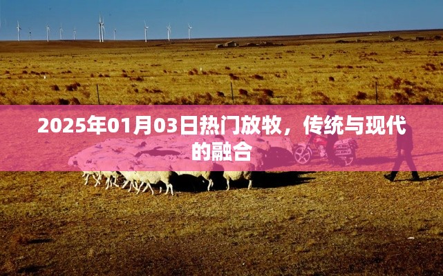 2025年放牧新风尚，传统与现代的完美融合