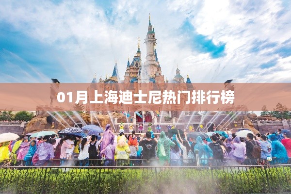 上海迪士尼一月热门排行榜