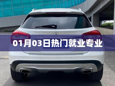 热门就业专业动态，最新趋势解析