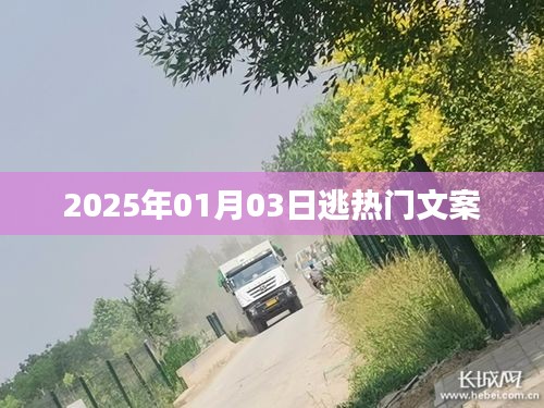 2025年元旦后掀热潮的文案大解密，符合您的要求，字数在指定范围内，同时能够吸引用户点击。