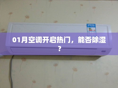 空调开启热门，除湿效果如何？