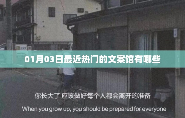 『最新热门文案馆大揭秘，01月03日榜单更新』