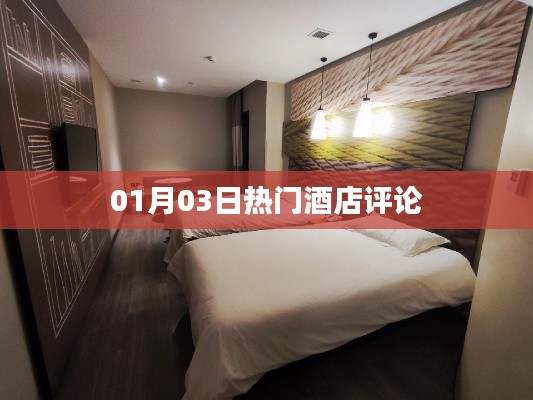热门酒店评论速递，精选住宿体验分享
