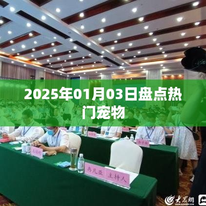 宠物市场盘点，热门宠物趋势展望（附日期）