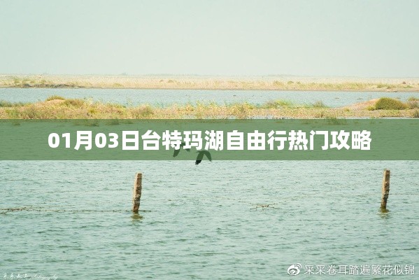 台特玛湖自由行指南，热门攻略一网打尽