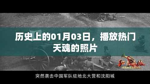 鹤立鸡群 第3页