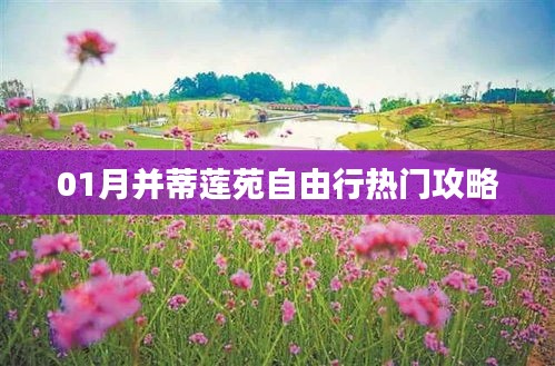 并蒂莲苑自由行指南，热门攻略一网打尽！