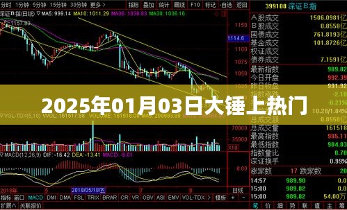 大锤引爆全网热议，2025年1月3日热门时刻